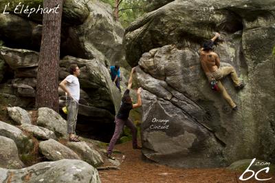 "Orange Circuit" (19)